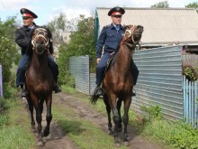 Павлодар облысында атты полиция құрылады