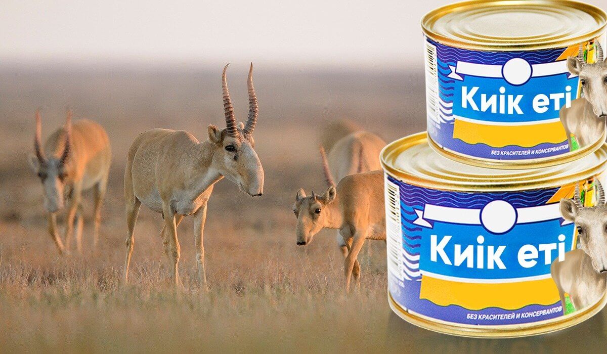 1752929291990679.jpg 1752929291990679.jpg