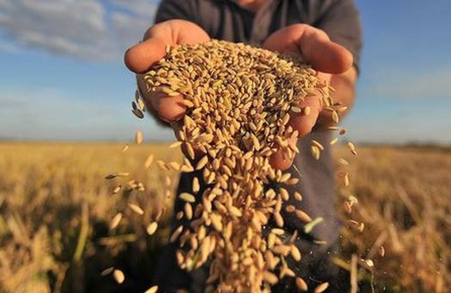 Увеличить экспорт переработанной продукции сельского хозяйства Казахстана в  2,5 раза к 2022 г. призвал Назарбаев