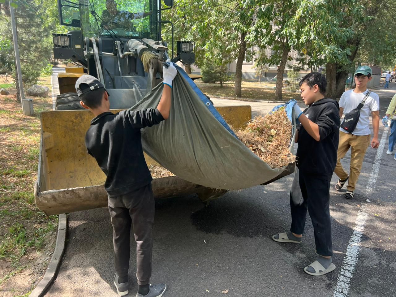 WhatsApp Image 2025-09-12 at 14.24.39.jpeg