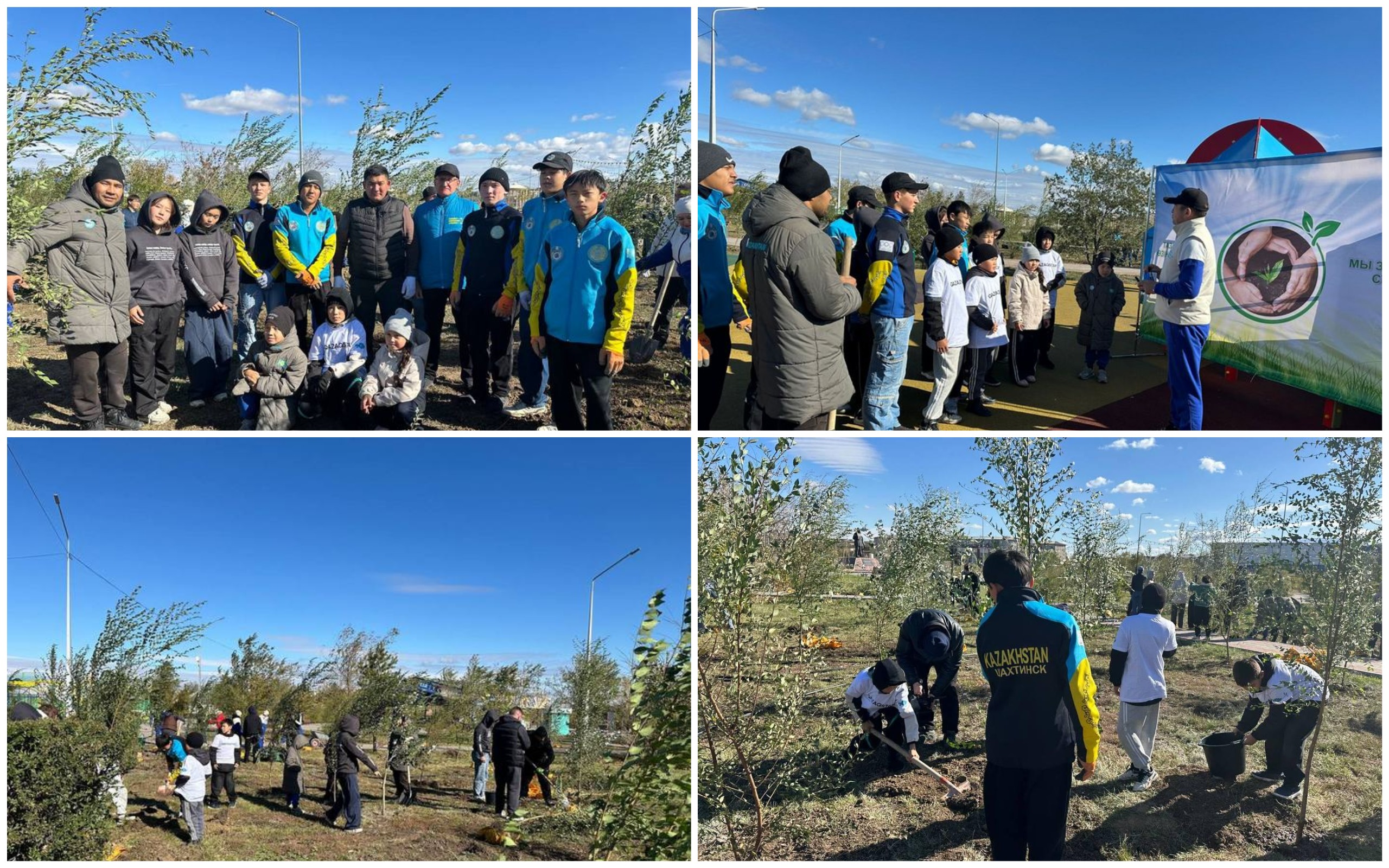 1759736743604553.jpg 1759736743604553.jpg