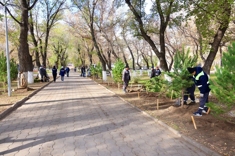 1760169776926275.jpg 1760169776926275.jpg