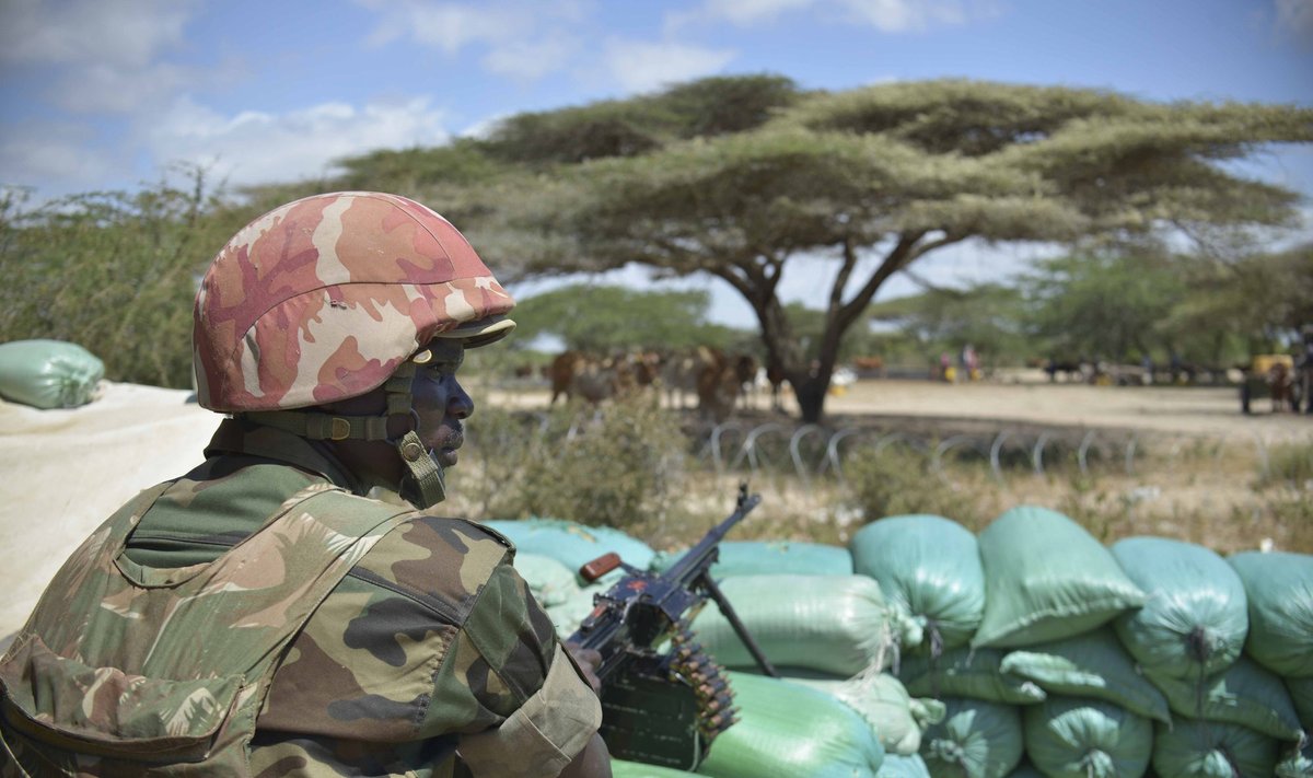 1762422772758004.jpg 6483b950-798c-11ed-bbfd-e17f1d900260.jpg