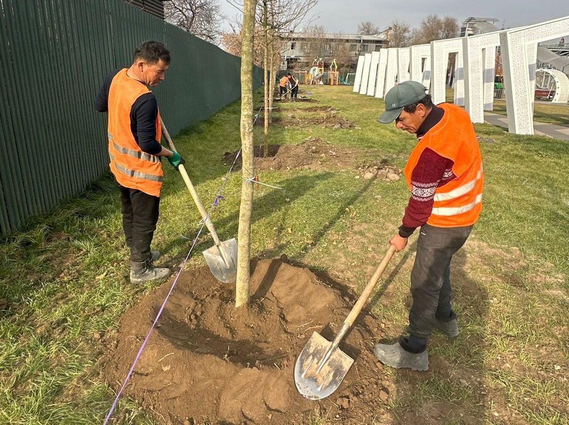 1764078274698621.jpeg 1764078274698621.jpeg