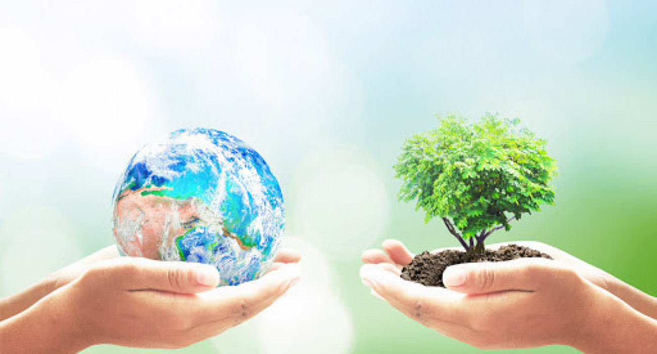 1765116938480451.jpg 1765116938480451.jpg