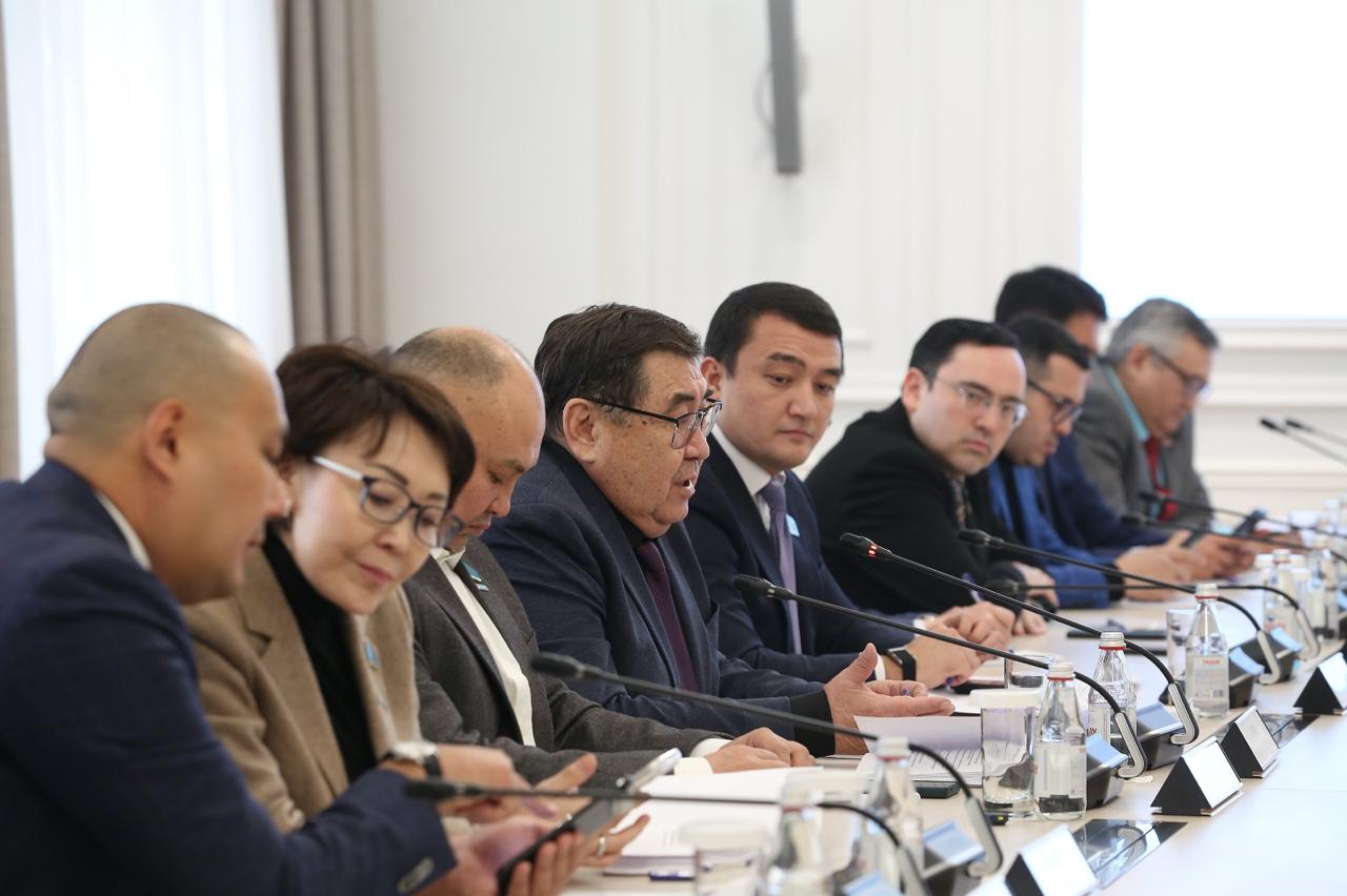 Конституцияға түзетулер: Алматы алаңындағы түсіндіру және қолдау