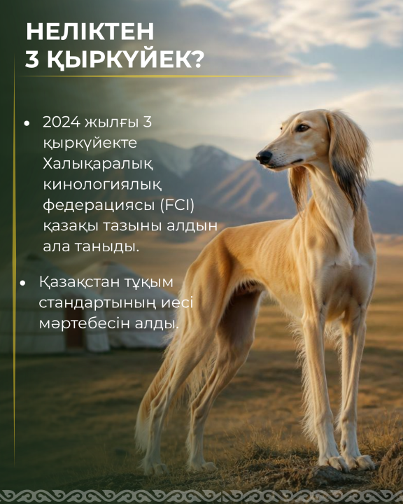 1788440015937114.png c21e9d5d807449883ac74c86ca9b87fa_1280x720.png